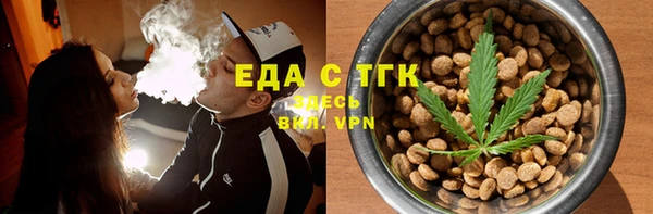 индика Гусь-Хрустальный