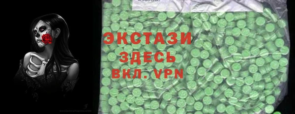 индика Гусь-Хрустальный