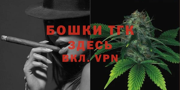 индика Гусь-Хрустальный