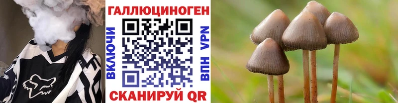 Псилоцибиновые грибы Psilocybine cubensis  Купить  Лаишево 